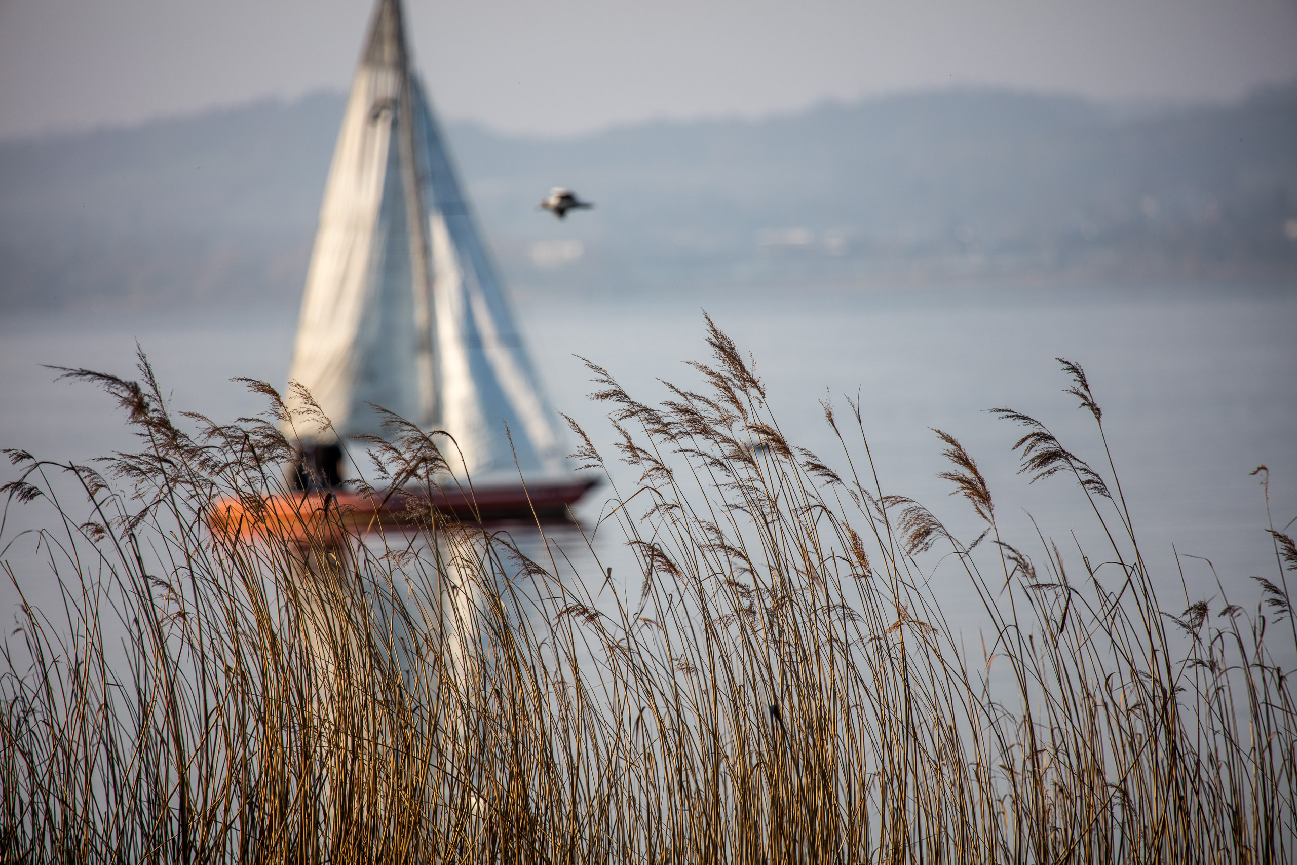 20160319172931 DP017784